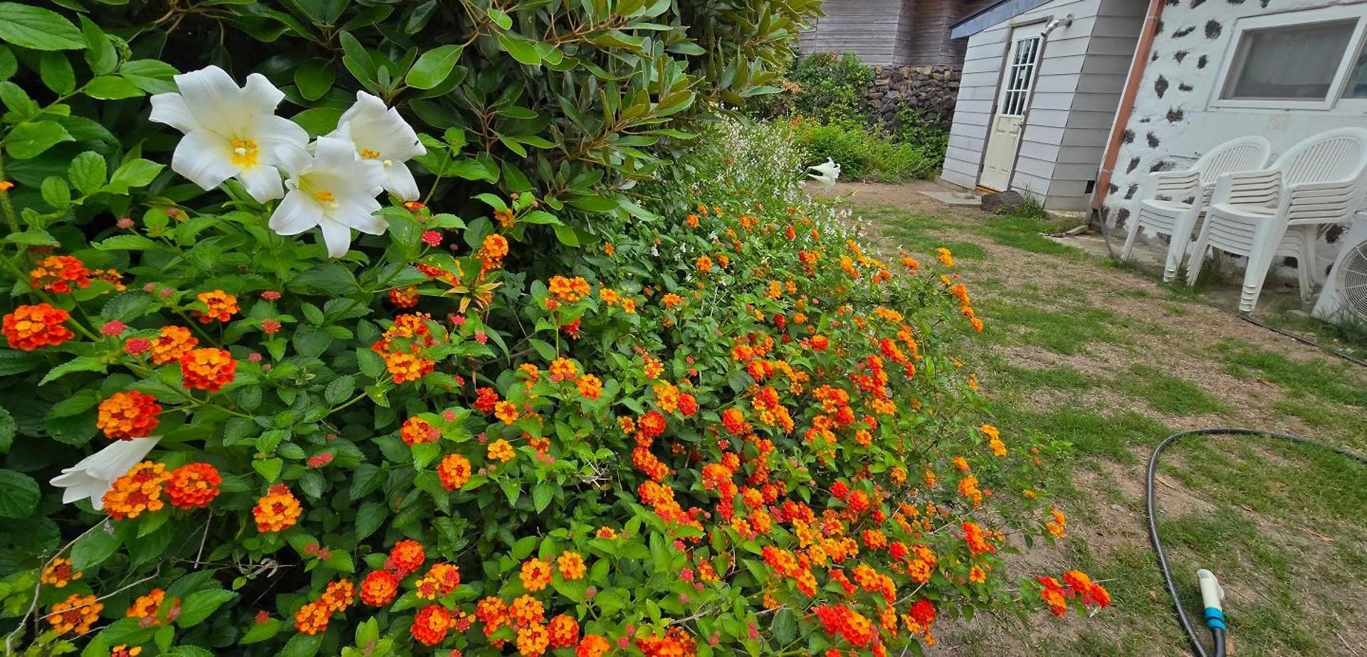 Tov House Jeju Villa Vakantiehuis
